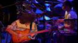 PAT METHENY - ABOVE THE TREETOPS