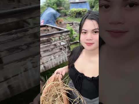 สาวบ้านนาชีวิดเรียบง่าย