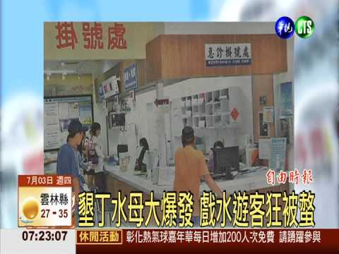 墾丁水母大爆發 戲水遊客狂被螫