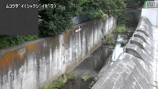 向台映像監視局