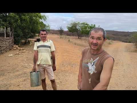 Sítio mamoeiro e seus moradores em VERDEJANTE PERNAMBUCO.