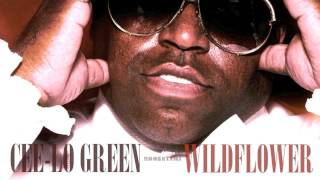 Cee-Lo Green - Wildflower (Piano Cover by M. Wivolin)