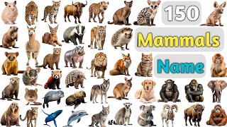 Download lagu Mammals Vocabulary ll 150 Mammals Name In English With Pictures ll Animals Name in English mp3 Download lagu Mammals Vocabulary ll 150 Mammals Name In English With Pictures ll Animals Name in English mp3