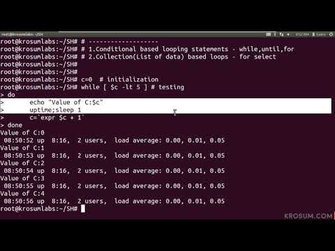 Shell Script Looping Statement For Loop Conditional Style