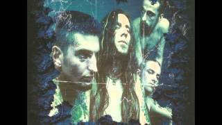 Pulkas - Hippy Fascist