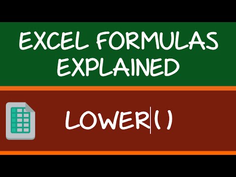 LOWER Formula in Excel