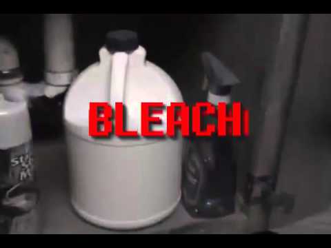 Undertale - Cooking with Undyne