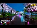 Tokyo Japan Rainy Night Walk Spring 2026 4K HDR