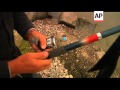 Testing Of Danube Waters In Romania After Sludge Spill