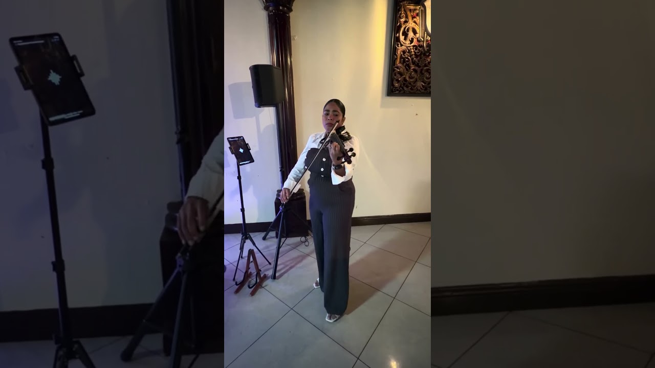 Promotional video thumbnail 15 for Live Violinist