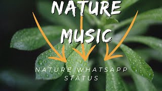 Best Nature Whatsapp Status 4k Video Status - Nature Videos | 4k