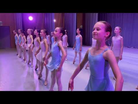 В Приморье проведут просмотры школьников для обучения в филиале МГАХ.