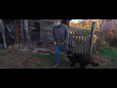 Peter and the Farm (Clip 'Dog')