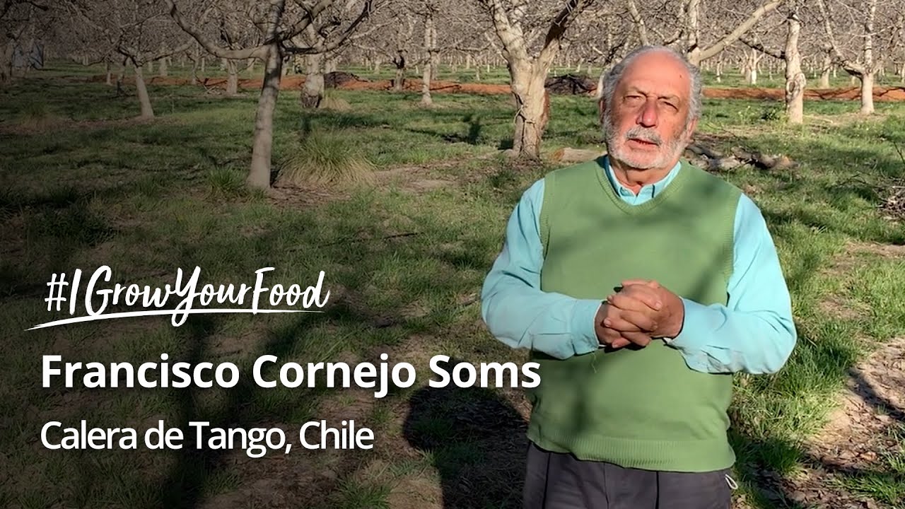 Meet Francisco Cornejo, an organic walnut farmer from Chile 🇨🇱