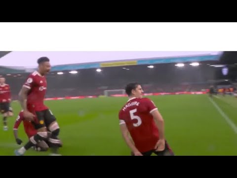 That celebration of Harry Maguire after scoring an own goal 😂😂 #maguire #manunited #funny #epl