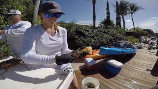 DON’T EAT LOBSTER POOP | How To Clean Lobster