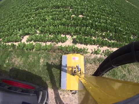 Broyage des bordures avec  fendt 718