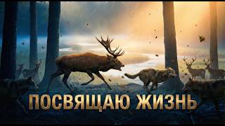  Как лань желает к потокам воды