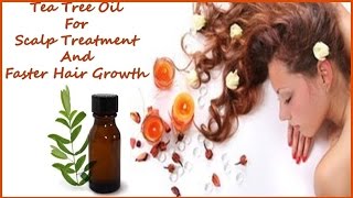 Tea Tree Oil For Scalp Treatment And Faster Hair Growth