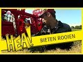 HEA! Bieten rooien met Klaas-Oenze en Oenze-Klaas