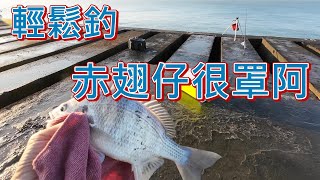 台中港北堤 可不是只釣白帶魚 還有很多釣法等著你去發掘! 最近沉底也很夯啊!! #fishing #釣り