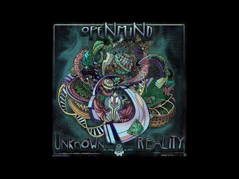 Openmind and Metaphyz - Order Of Chaos