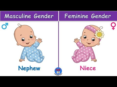 Learn Gender l Masculine and Feminine gender in English with pictures