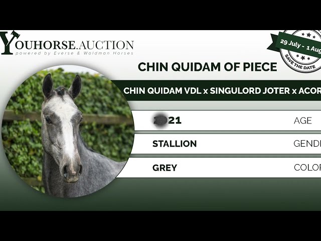 Chin Quidam of Piece