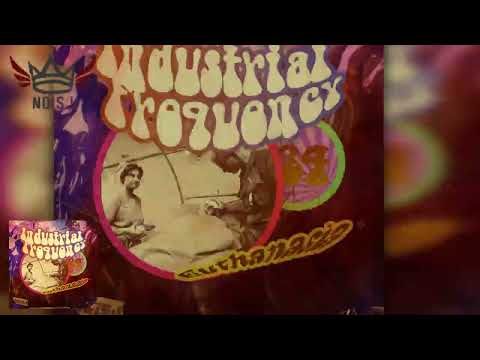 Industrial Frequency - Crisis