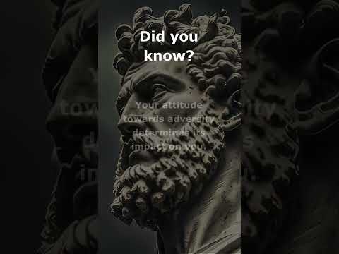 Rising Strong: Stoic Insights on Triumphing Through Adversity