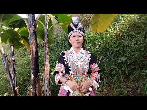 kab yaaj lug txaj txij nkawm tsi sib hlub 2,7,23