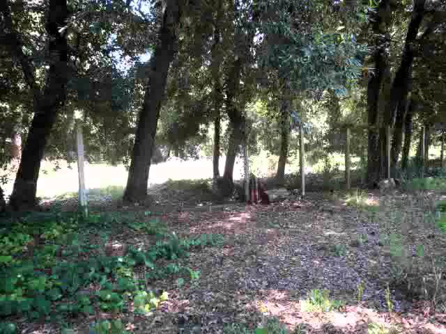 marina di pietrasanta villa