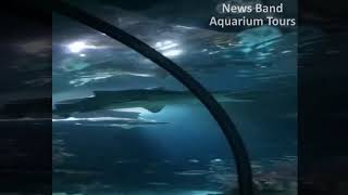 Aquarium Tours Travel and Discover 7 : Going with Spinefoot