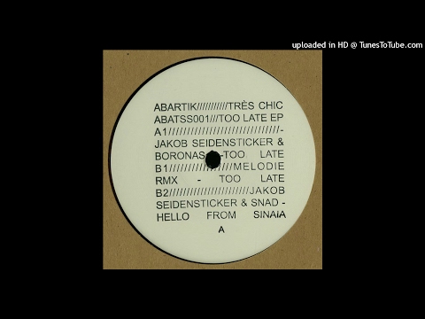 Jakob Seidensticker & Boronas - Too Late (Melodie Remix)