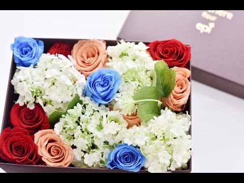 貯水機能付きフラワーボックス トピックス