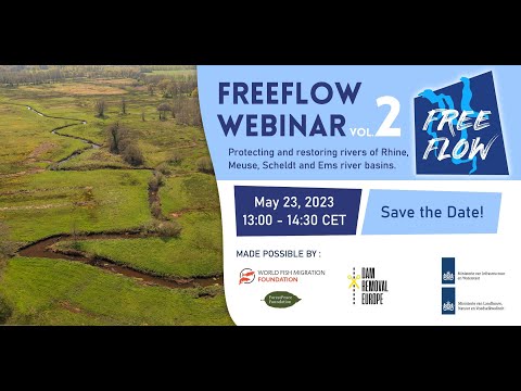 Free Flow webinar 2: barrier removal for river restoration in the Rhine, Scheldt, Meuse and Ems
