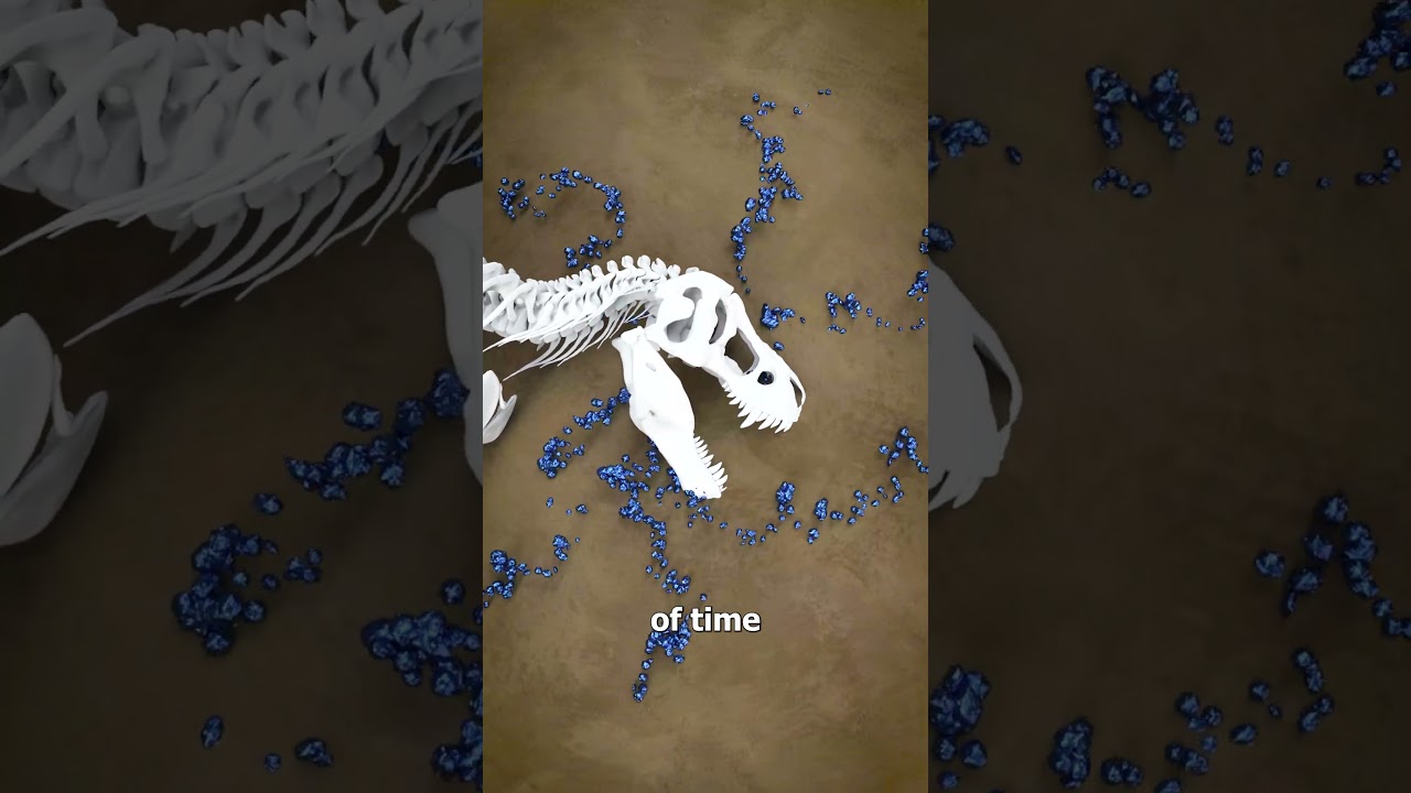 How Fossilization Works 🤔