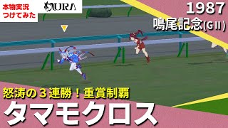 【史実競馬レースを再現！】タマモクロス『アニメ 第５話 止まらない連勝！』1987年 鳴尾記念(G2)最終コーナーより　名実況　シンデレラグレイ　ウマ娘　MAD