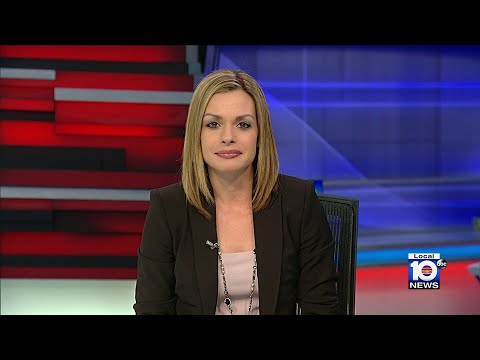 Local 10 News Update: 10/08/22 Evening Edition