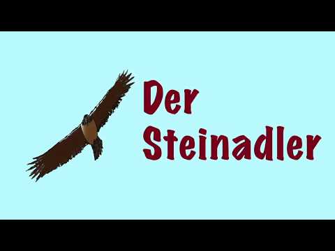 Der Unterschied zwischen RADIKALISMUS, EXTREMISMUS und TERRORISMUS