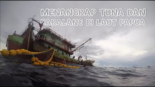 Download lagu Catching Tuna and Skipjack in the Papuan Sea - Indonesian Purseseine Ship mp3
