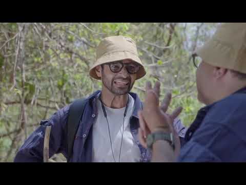 Bhavesh visawadia  Btex ad 