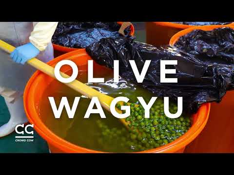 U.S. Debut of Olive Wagyu 4/16