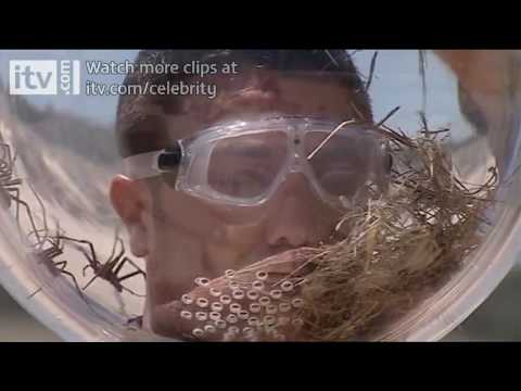 I'm A Celebrity...Get Me Out Of Here! | Bushtucker Trial: Gino Spider Helmet | ITV