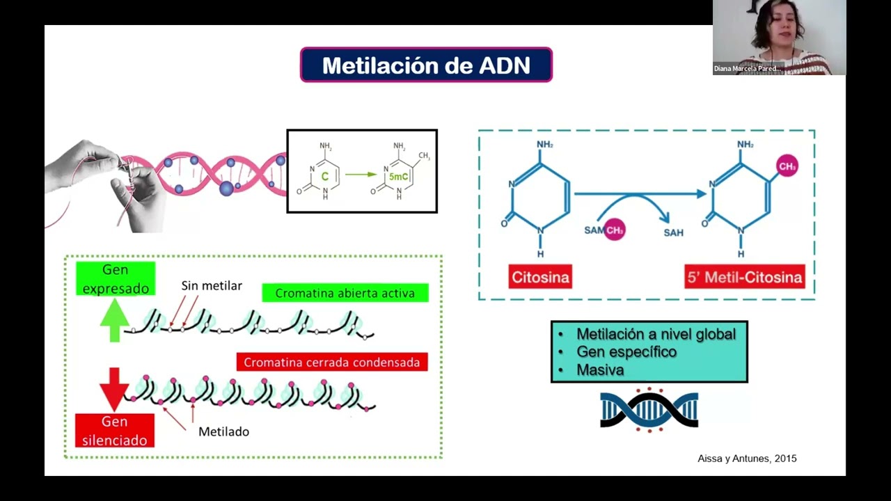Estado actual de la epigenética efectos de los plaguicidas y estudios de casos en México