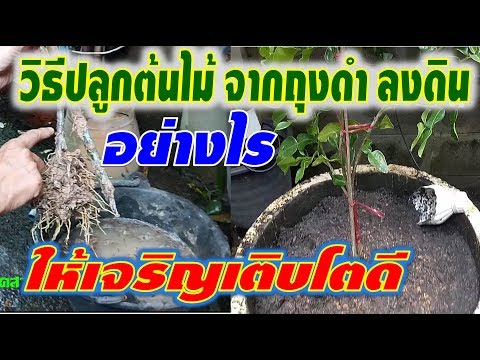 พรูค้อนรีค ซื้อเชื้อโรคหญิงในร้านขายยาของกรุงมอสโก
