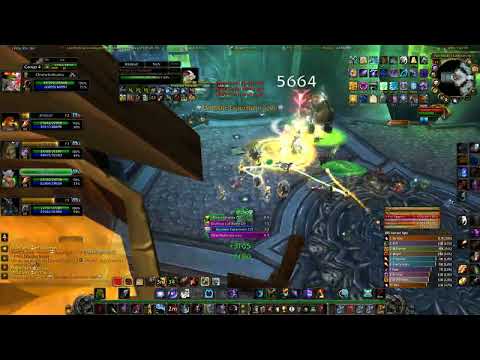 Warmane | Lordaeron | ICC 25nm - Professor Putricide 💊 | Hunter PoV