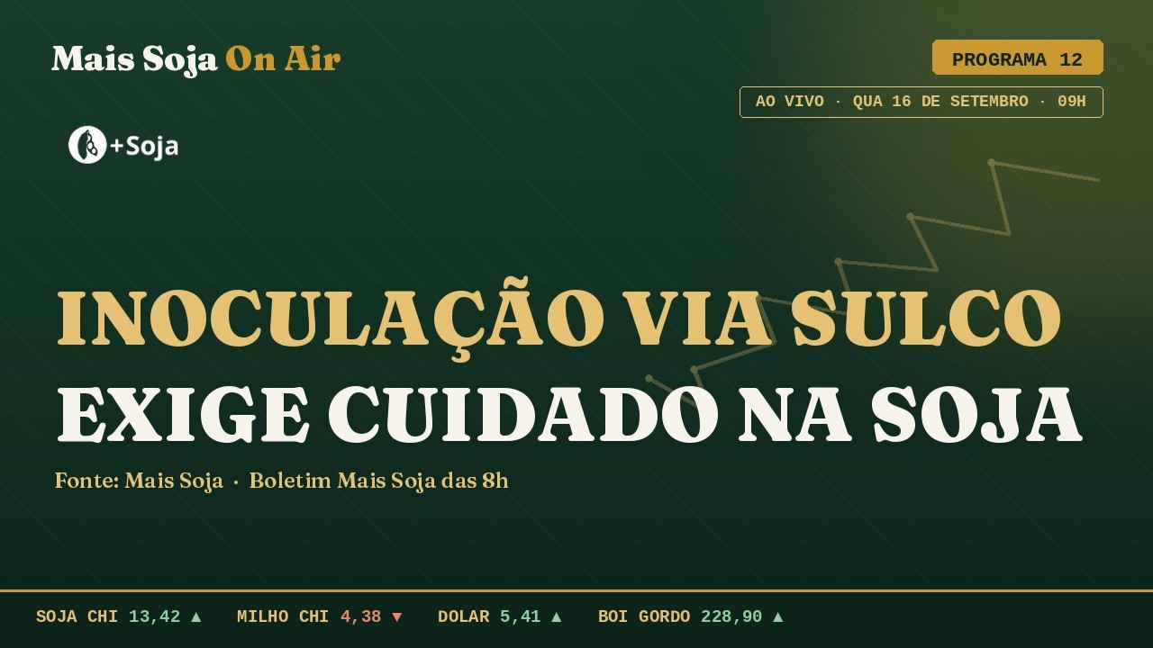 Alta do trigo e cuidados com a inoculação | Mais Soja On Air