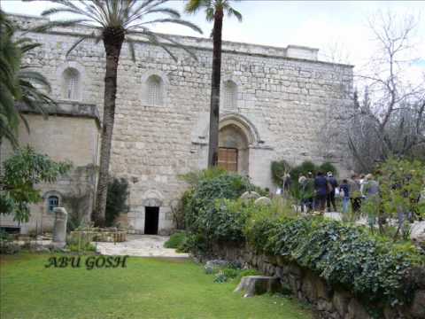 PEREGRINACIÓN A TIERRA SANTA 6