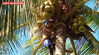 Download lagu NGERIII.. sumpah adu skil panjat, kecepatan mertua vs menantu sadiss 🙄🙄 mp3 Download lagu NGERIII.. sumpah adu skil panjat, kecepatan mertua vs menantu sadiss 🙄🙄 mp3